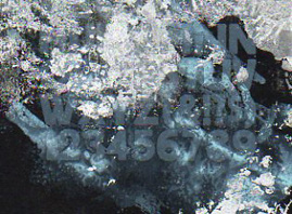 Cludio Rocha011.jpg